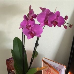 Meet your Posher, Destin